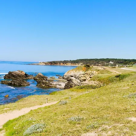 Les Pins De L'ocean - A 1km De La * لي سابلِ دولونْ